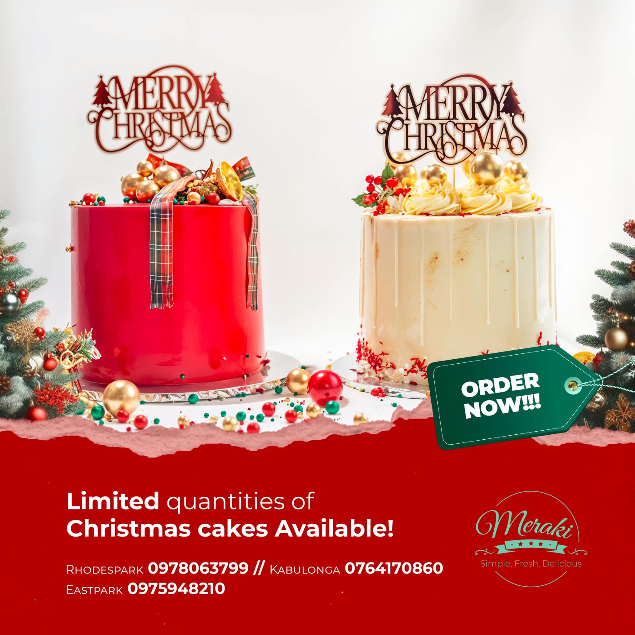 Xmass Cake